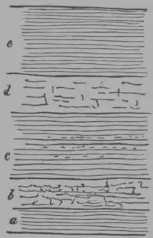 A Treatise on Geology, figure 19.png