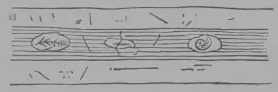 A Treatise on Geology, figure 21.png