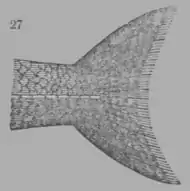 A Treatise on Geology, figure 27.png