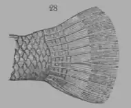 A Treatise on Geology, figure 28.png