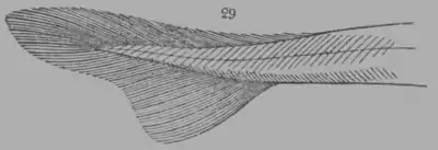 A Treatise on Geology, figure 29.png