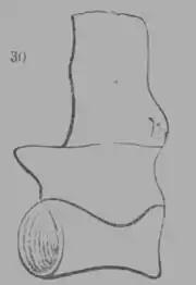 A Treatise on Geology, figure 30.png