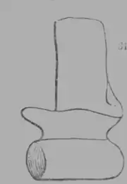 A Treatise on Geology, figure 31.png