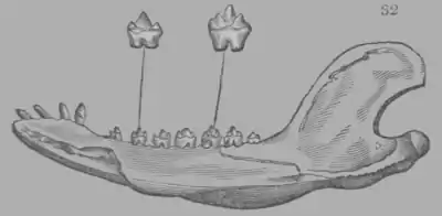 A Treatise on Geology, figure 32.png