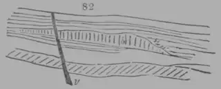 A Treatise on Geology, figure 82.png