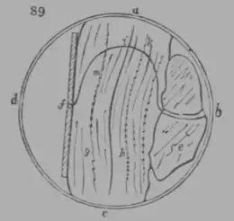 A Treatise on Geology, figure 89.png