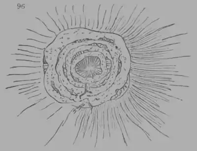 A Treatise on Geology, figure 96.png