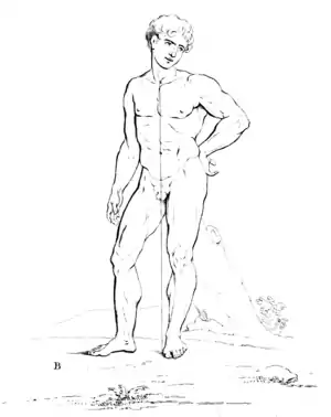 A Treatise on Painting - Plate 11.png