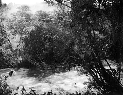 A glimpse of Guatemala - A Hammock Bridge.jpg
