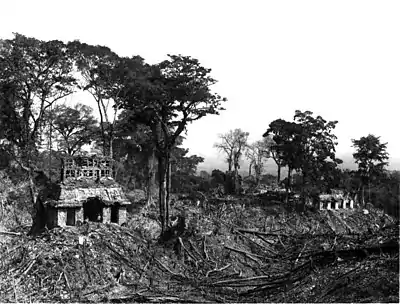 A glimpse of Guatemala - Palenque. The Temple of the Sun & the Palace.jpg