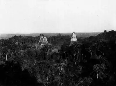 A glimpse of Guatemala - Tikal View from the Great Temple.jpg