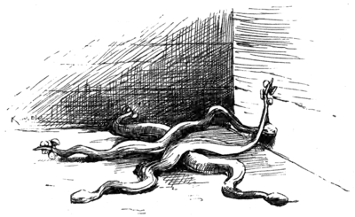 three snakes with buttons tied on their tales