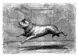 Adventures of Tom Sawyer-pg068.png