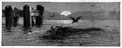 Adventures of Tom Sawyer-pg261.png