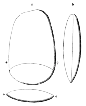 Archaeological Journal, Volume 11, 0148.png