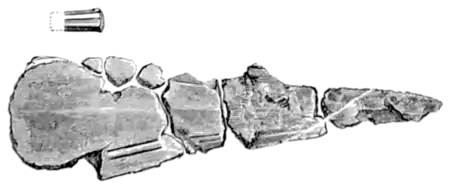 Archaeological Journal, Volume 29, 0068b.png