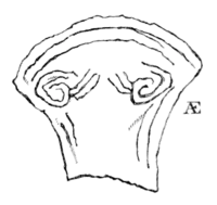 Archaeological Journal, Volume 7, 0057b.png