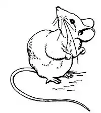 Beatrix Potter - The Tale of Two Bad Mice - Illustration 27.jpg