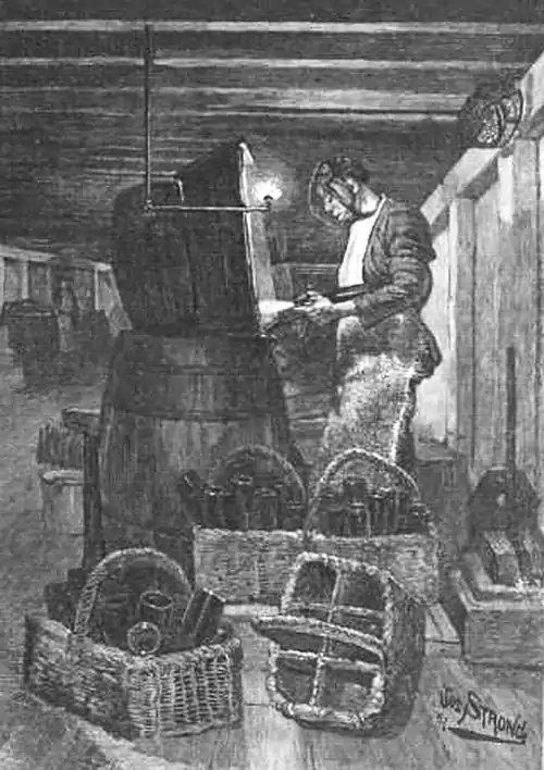 Click on image to enlarge.