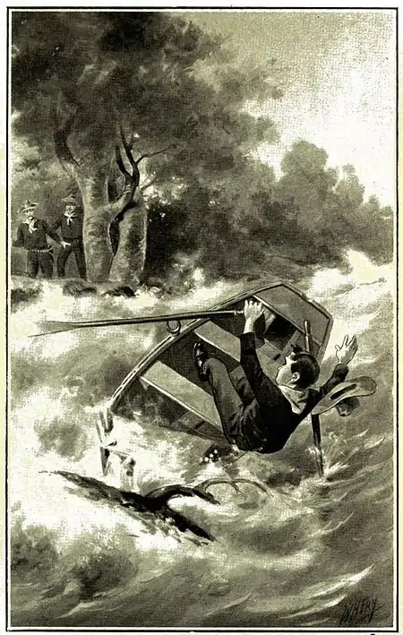 Boy Land Boomer P071.jpg