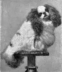 Britannica Dog 38.jpg