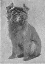 Britannica Dog 45.jpg