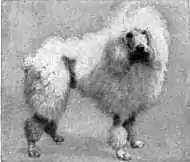Britannica Dog 9.jpg