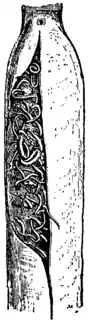 Britannica Pipe-fishes Sub-caudal Pouch.png