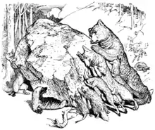 Brown fairy book - inset illustration at page 155.png