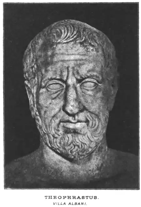 Bust of Theophrastus from Villa Albani