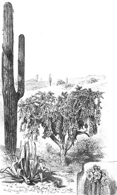 Click on image to enlarge.