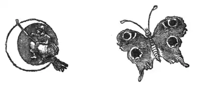 Collodi - The Story of a Puppet, translation Murray, 1892 007 2.png