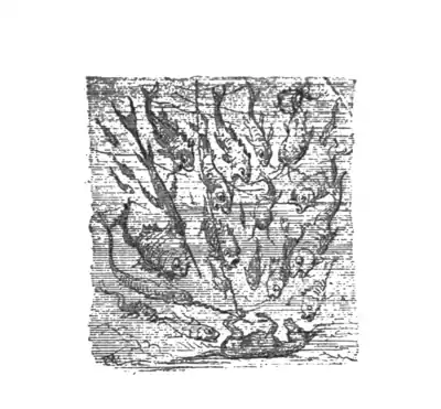 Collodi - The Story of a Puppet, translation Murray, 1892 214.png