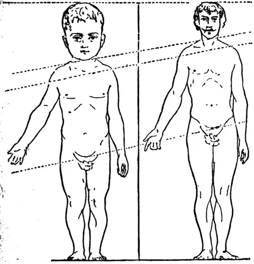 Comparison of proportions of seven year old and man