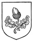 Fig. 496.—Acorn slipped and leaved.