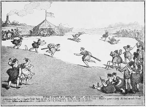 Cricket (Hutchinson) 0027.jpg