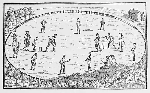 Cricket (Hutchinson) 0033.jpg