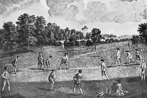Cricket (Hutchinson) 0035.jpg