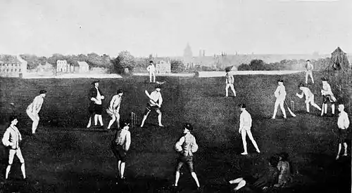 Cricket (Hutchinson) 0036.jpg