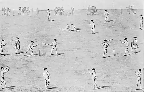 Cricket (Hutchinson) 0041.jpg