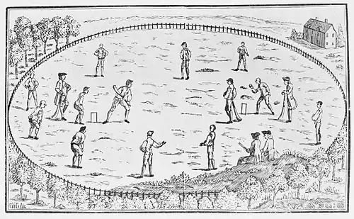 Cricket (Hutchinson) 0053.jpg