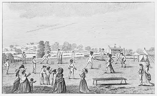 Cricket (Hutchinson) 0054.jpg