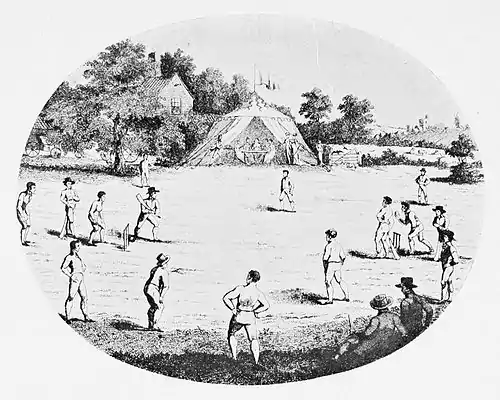 Cricket (Hutchinson) 0057.jpg