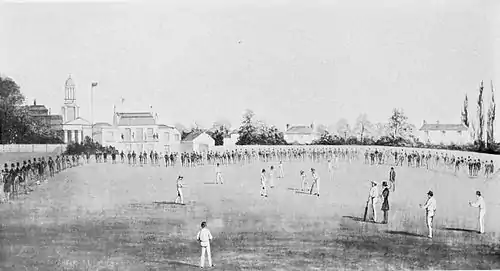 Cricket (Hutchinson) 0190.jpg