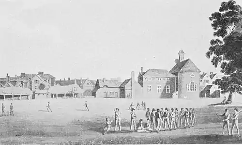 Cricket (Hutchinson) 0199.jpg