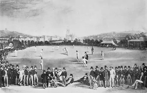 Cricket (Hutchinson) 0214.jpg