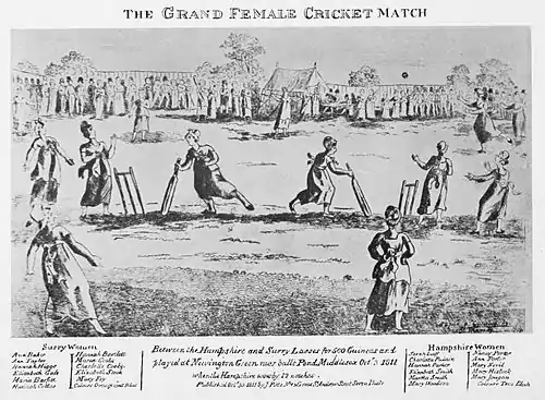 Cricket (Hutchinson) 0234.jpg