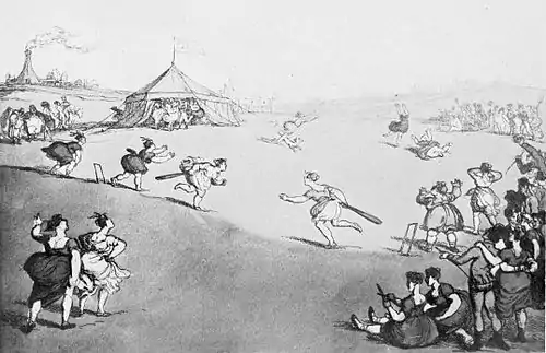 Cricket (Hutchinson) 0269.jpg