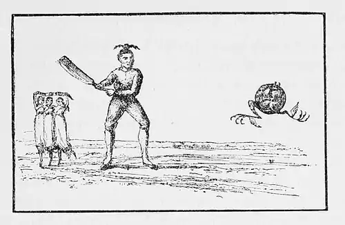 Cricket (Hutchinson) 0315.jpg