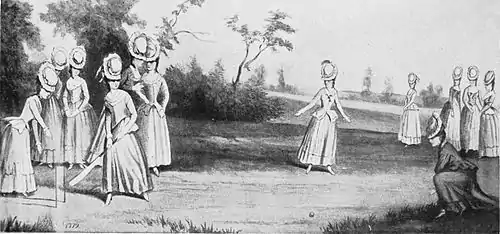 Cricket (Hutchinson) 0353.jpg